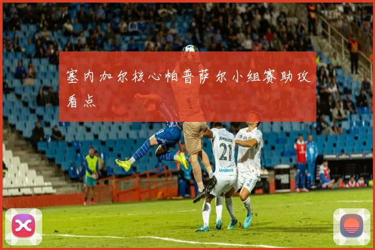 塞内加尔核心帕普萨尔小组赛助攻看点