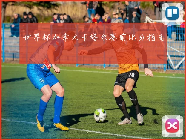 世界杯加拿大卡塔尔赛前比分指南