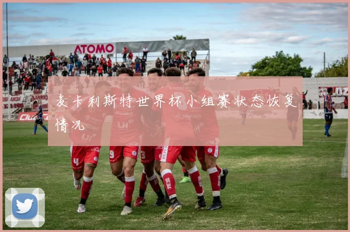 麦卡利斯特世界杯小组赛状态恢复情况