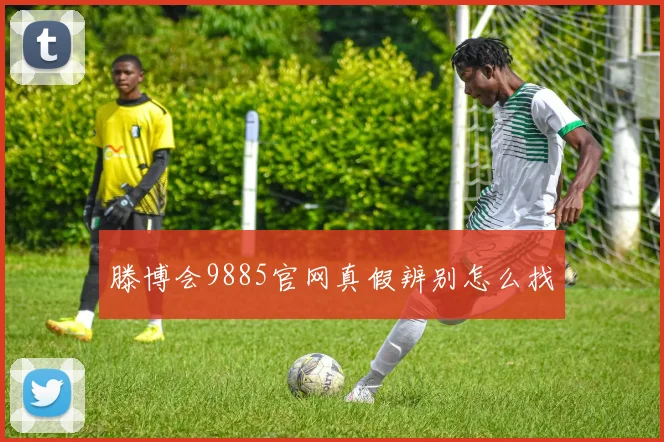 滕博会9885官网真假辨别怎么找
