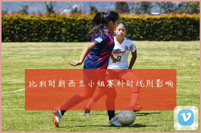 比利时新西兰小组赛补时规则影响